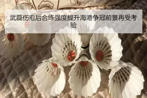 武磊伤愈后合练强度提升海港争冠前景再受考验